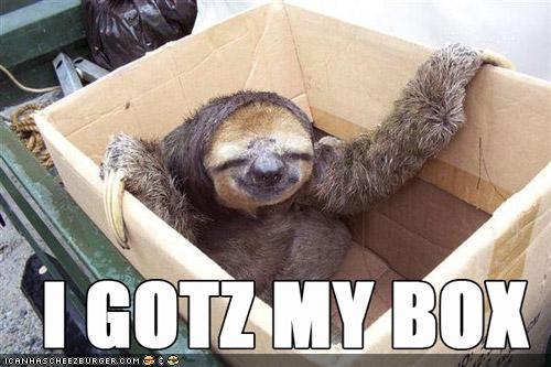 sloth-has-a-box.jpg