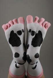 cowtoes - Square Cow Moovers