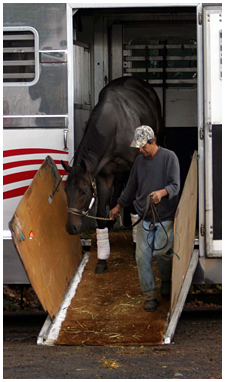 side unloading - Square Cow Moovers