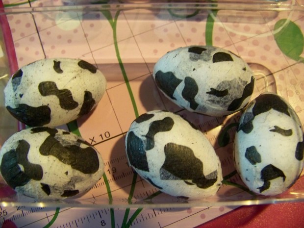 cow eggs