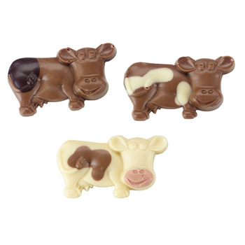 choc cows