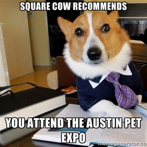 Austin Pet Expo Dog Meme 8_2_13