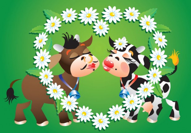 Two cows kissing inside a sunflower heart