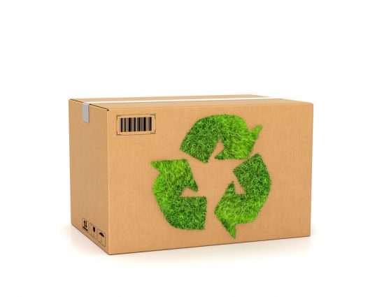 Sustainable and Eco Friendly Moving Tips - Square Cow Moovers