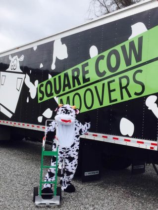 Square Cow Movers - Square Cow Moovers