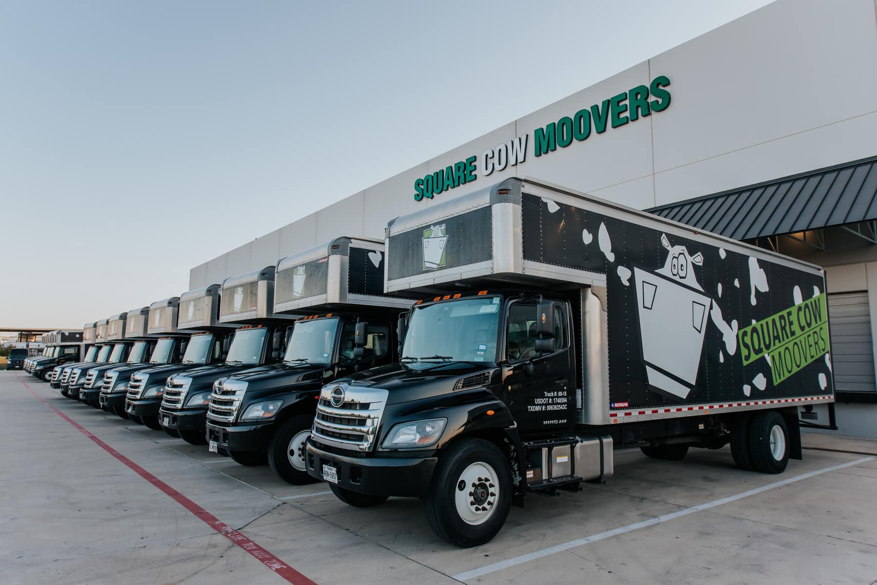 Square Cow Movers trucks lined up outside the company facility